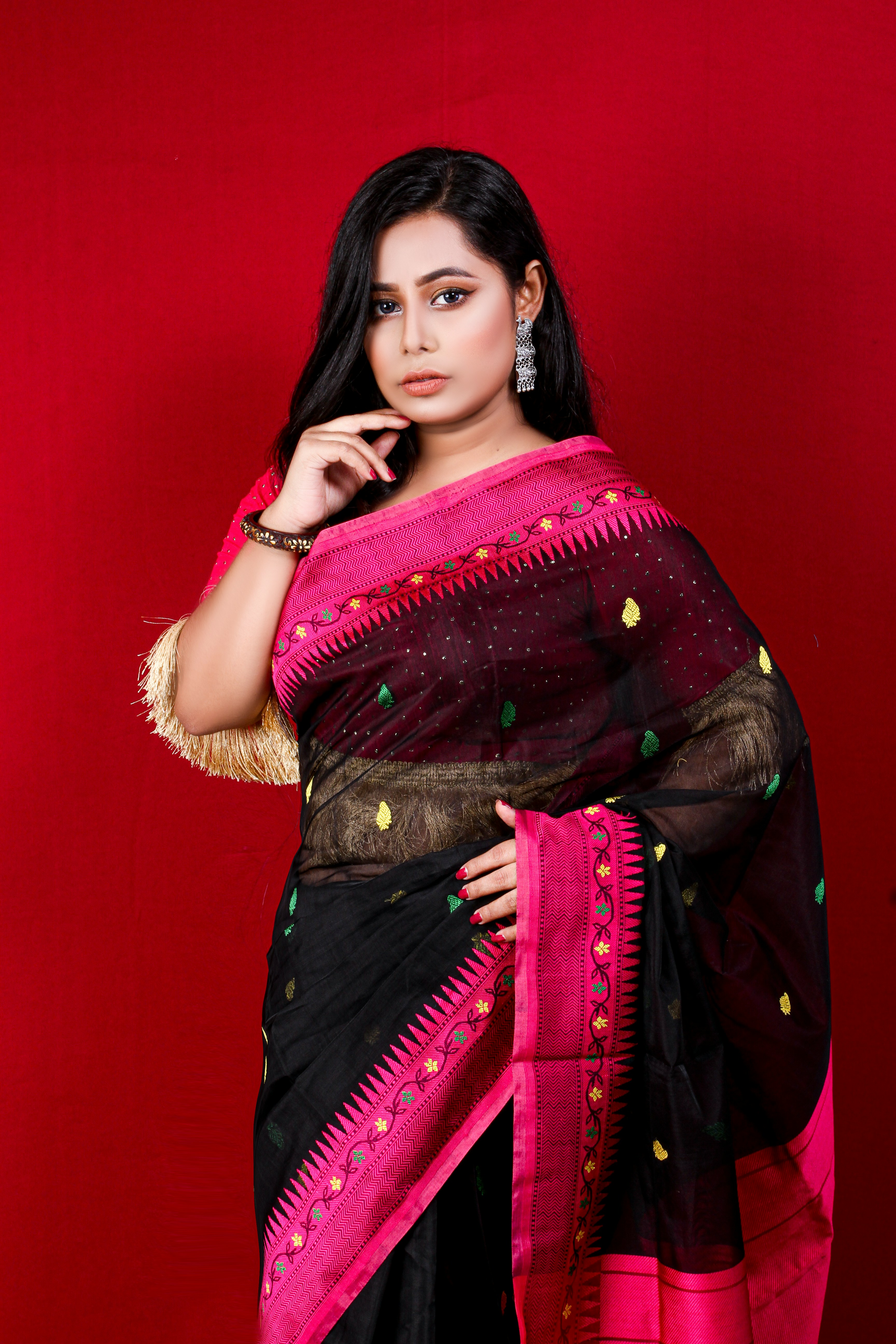 Editorial portrait in regal silk saree